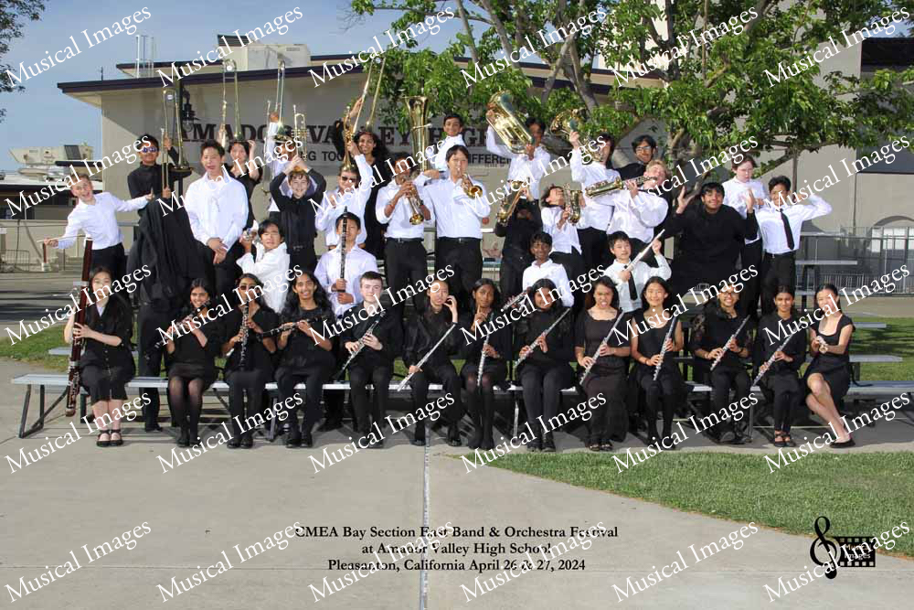 Musical Images